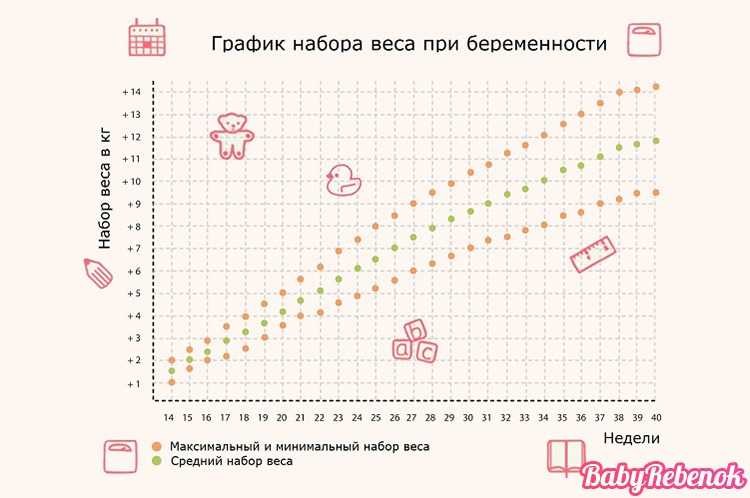 Как рассчитать норму прибавки в весе по триместрам